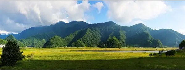 文章附图